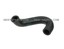 Air Pump Hose